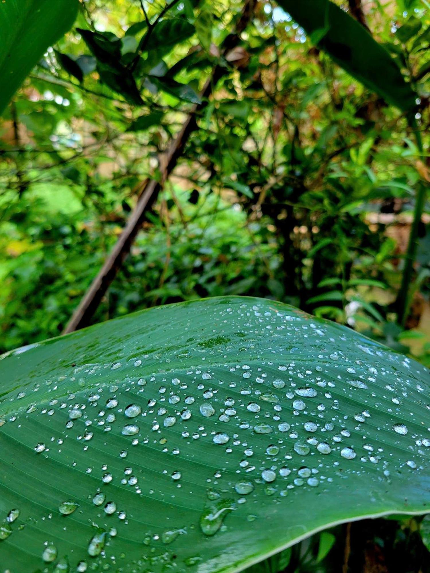Nông Trại Thảnh Thơi Ben Tre Exterior foto
