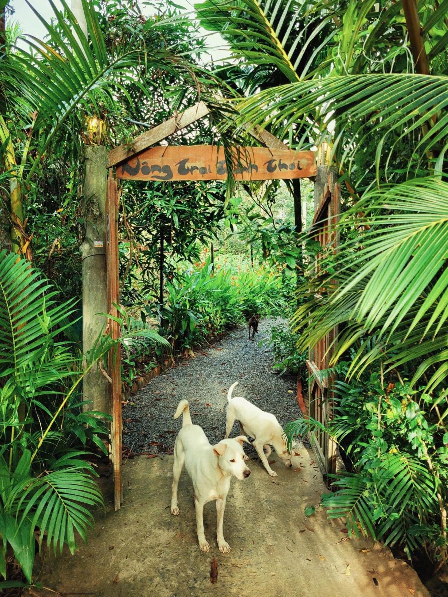 Nông Trại Thảnh Thơi Ben Tre Exterior foto
